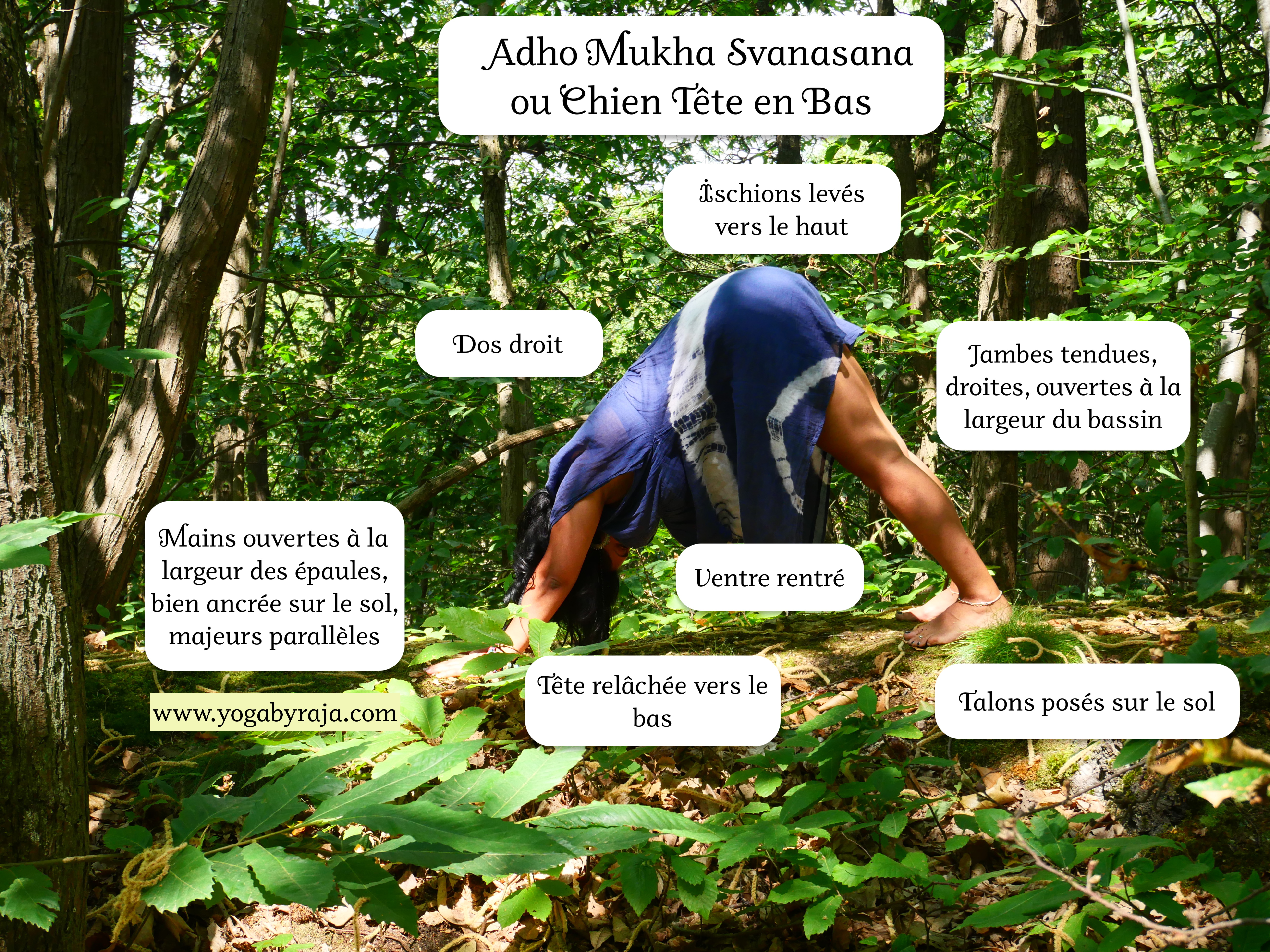 Adho Mukha Svanasana-YogaByRaja