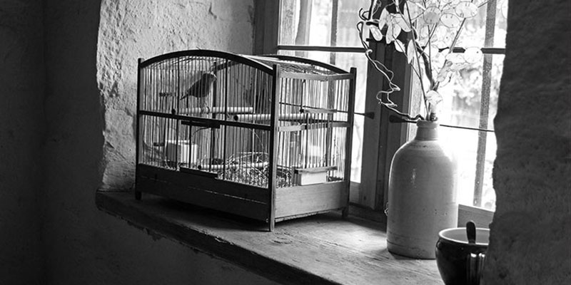 Svadhisthana 3 - yogabyraja